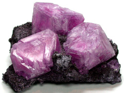 mineralists:  Purple Alum crystals on matrix