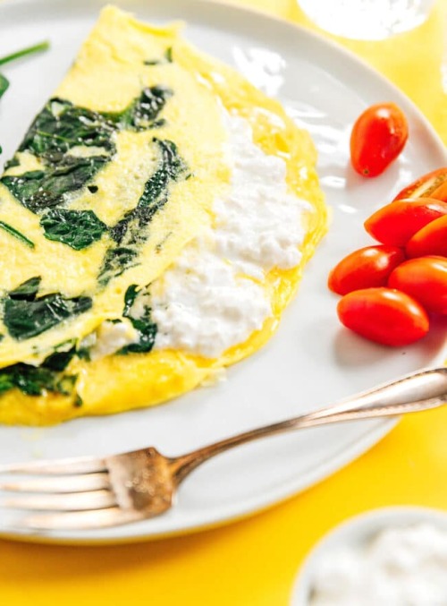 Cottage Cheese Omelette