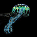 bioluminescentoceangoddess avatar