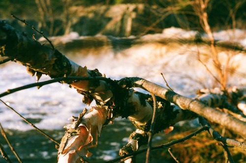 Big Falls | Wisconsin | Pentax K1000