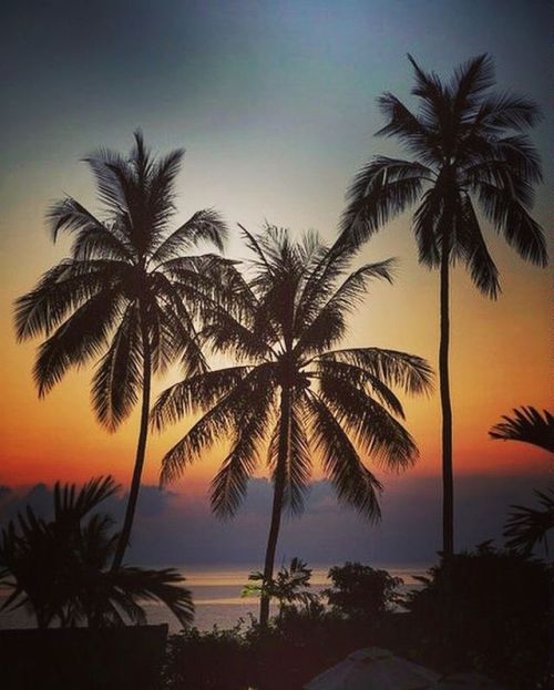 Koh Samui Sunrise #thailand #palmtrees #sunrise #beach #SonyAlpha (at Sheraton Samui Resort)