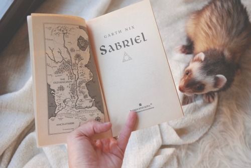 the-book-ferret:“Do not tarry, do not stop, no matter what happens.” ― Garth Nix, Sabriel