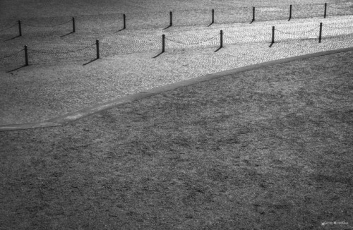 // sticks //  web facebook instagram by Georg Nickolaus