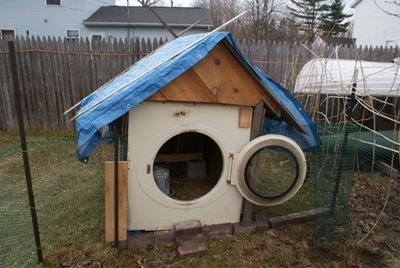mayorfuu: general-george-washington:  absolxguardian:  general-george-washington:  It just occurred to me that people do not know about what some people make chicken coops out of and it’s a Shame  Please, enlighten us  So the thing with chickens are,