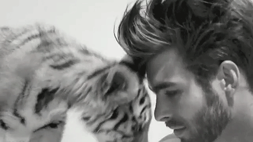 catsdogsblog:  More Love here