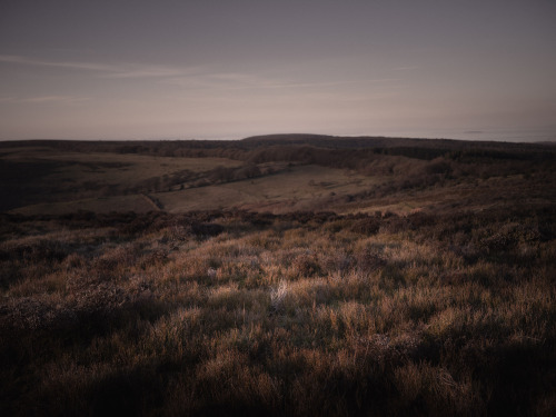 Evening, SomersetHasselblad X1D II 50C + XCD 45mmPhotographed by Freddie Ardley