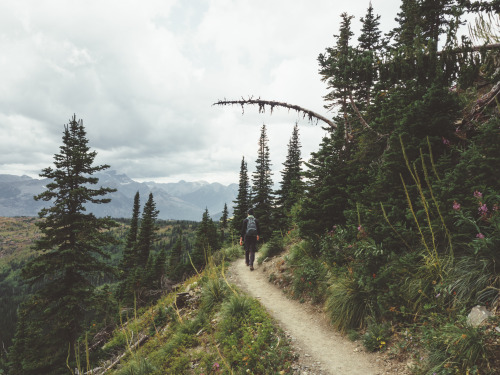andrewridley: The Highline Trail, Glacier National Park, Montana, USA.