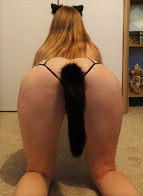 Porn Kittens Daddy photos