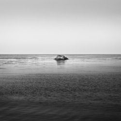 black-and-white:  drifter59 (by yuu sakai)