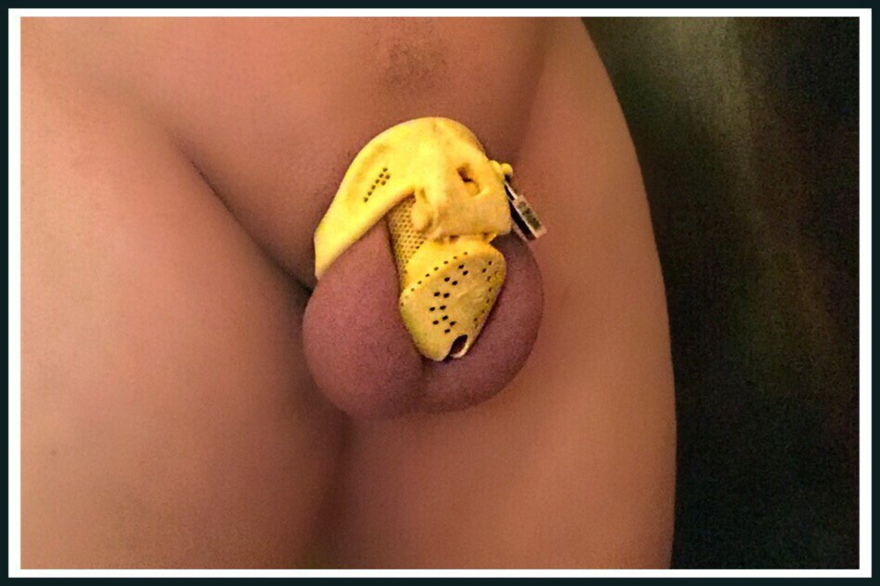 chastechron:  (via TumbleOn)   which model is this and where can i get one??????