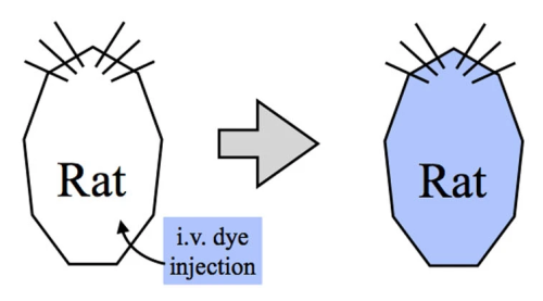 wtf-scientific-papers: Wang and Lai (2014) Dyeing for science