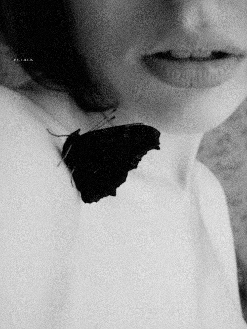 Butterflies on pins