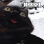 sixdumbcats