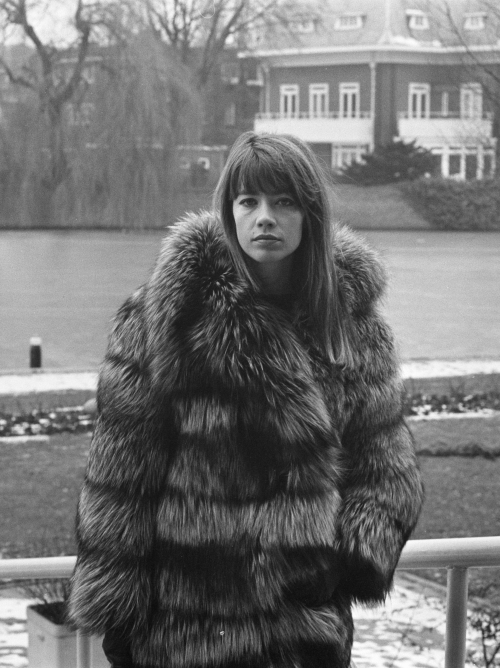colecciones:Françoise Hardy, 1969. Photo by Michael Ochs.