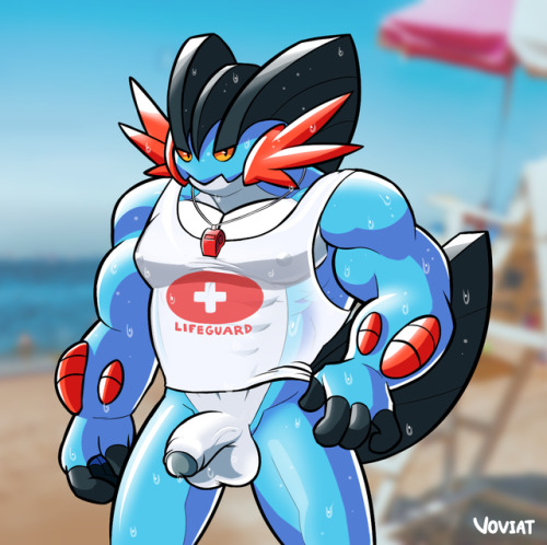 voviat:  A Swampert lifeguard that’s very good with his mouth. For CPR and whistle blowing of course, what did you think I meant? Wow 8 versions! Definitely not excessive.