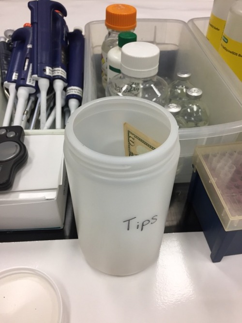 random-aspects: reallymadscientist: Didn’t expect to find a $10 tip in my pipette tip waste this mo