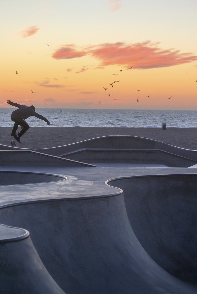 brutalgeneration:  freebird (by JKG II)