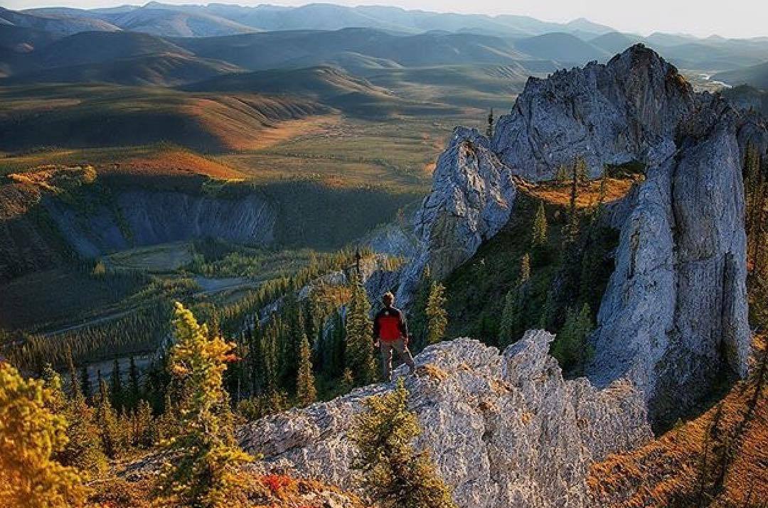 travelyukon:  #tbt to a beautiful hike up Sapper Hill along the Dempster Highway.