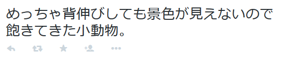 highlandvalley:  東雲 鈴音 さんはTwitterを使っています: “めっちゃ背伸びしても景色が見えないので