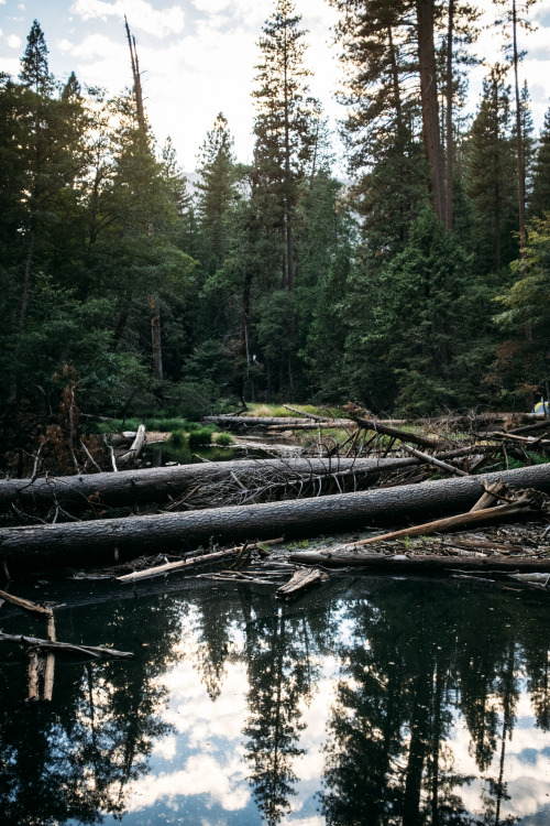 christophermfowler:Tenaya Creek | Yosemite, CA | September 2018