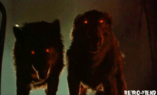 draconic-feline:Hellhound GIFs requested by Anonymous I do not own any of the content presented in t