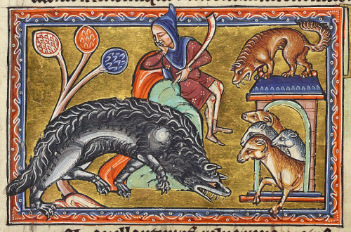 A medieval manuscript illustration with a blue-and-red decorative border and a gold-foil background. It depicts a scene at a sheepfold: in the background, next to a stylized hill and tree, a shepherd is sleeping. In the foreground, an exaggeratedly-fierce-looking wolf is approaching. It has shaggy fur along its spine, sharp fangs, and bloodshot eyes. To the right is a structure like a freestanding arch that presumably represents the sheepfold: four sheep can be seen crowded inside it, their bodies cut off by the sides of the structure in a way that makes it look as though they are halfway through a portal. On top of the arch, a brown dog -- also possessed of sharp fangs, but less than half the size of the wolf -- looks prepared to pounce on the intruder.