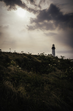 kovthephotographer:  The Yaquina Head Lighthouse,