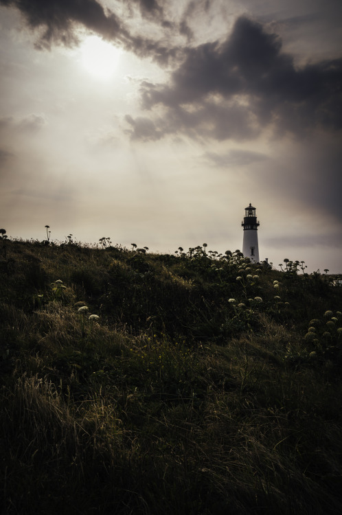 kovthephotographer:  The Yaquina Head Lighthouse, Oregon 