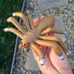 weedporndaily:  Spider blunt in action💨