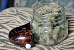 ekleton:  the goods - 