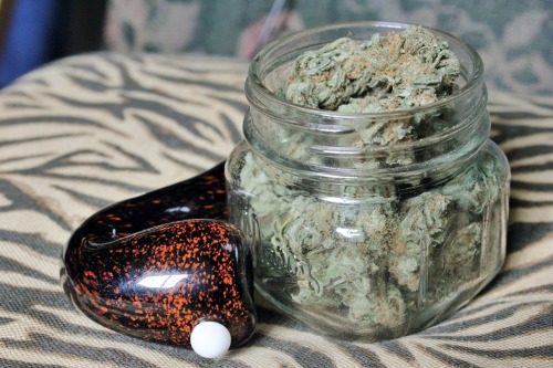 ekleton:  the goods - 