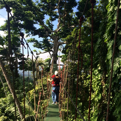 maddoverseas:Just over two months ago, I left Vanuatu after a year of island life. I’ve got an islan