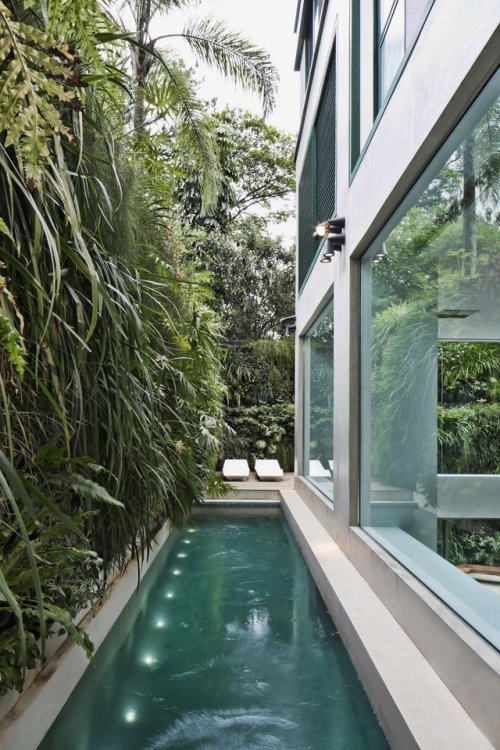 brazilian residence pool/fernanda marques arquitetos associadosvia: dwell