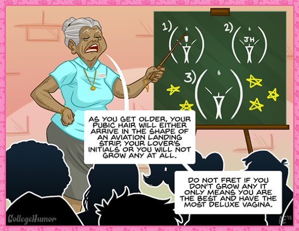numbuh214: collegehumor:  How Men Think Women’s Bodies Work by Rebecca Caplan and
