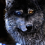 wolffetg42