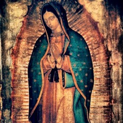 estilosucio:  Gracias mi Virgencita, por