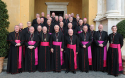 shittingsiren:  vatican bishops cosplay grimdark rose 