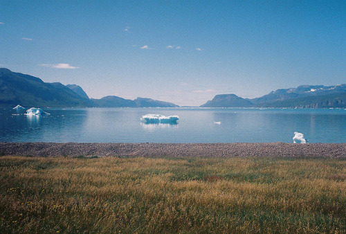 oix:  untitled by vamitos on Flickr. 