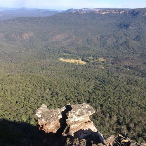 This mornings pre-work walk put to a very remote hilltop and back #nude #nakedinnature #bushwalking 