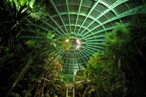 Porn steampunktendencies:  The Royal Greenhouses photos