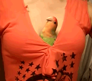 The Internet Was A Mistake