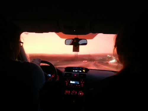 botanism-blog:driving into a sky that is not blue is a fantastic feeling