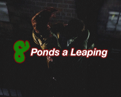 lumos5001:  byebyematt:      The 12 Days of Whomas  if you are a whovian you need this on your blog at Christmas 