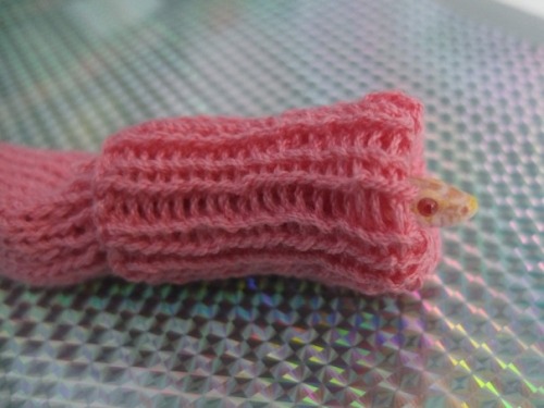 miss-beasty:Here’s a little snake wearing a sweater, in case you were having a bad day.Made by