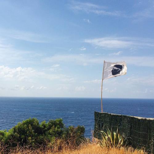 lkb-cph: The flag of #Corsica | Bandera testa Mora.