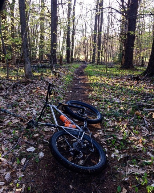 44bikes: I F’N Love New England Singletrack // #sweartoshred