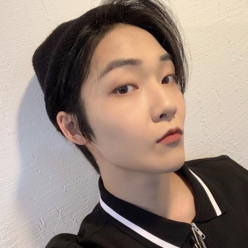 MON SELCA ICONS