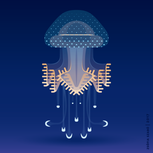 White-spotted jellyfish – Phyllorhiza punctata