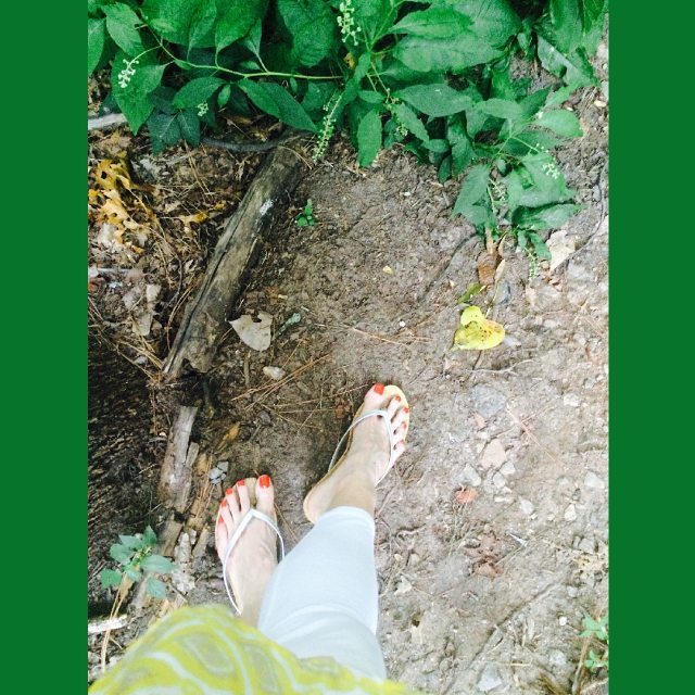 violetstoes:  #flipflops in the garden. #longtoes