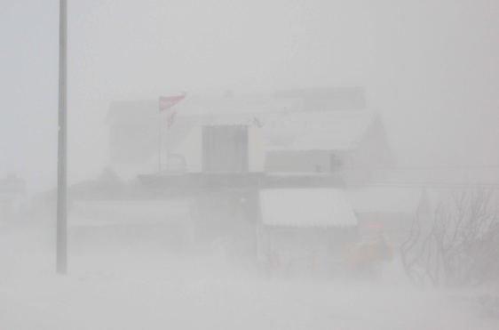 exhplosion:  foggies:  ☹☹☹☹foggy☹☹☹☹  Pale Death